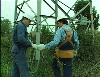 Valorizzazione ecologica linee elettriche