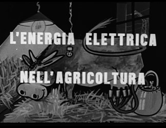 Energia in agricoltura