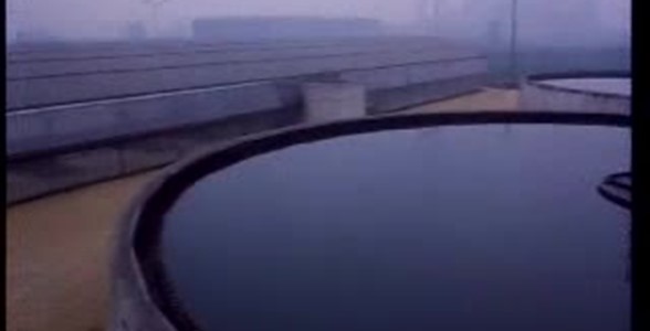 Le scoperte dell'acqua calda
